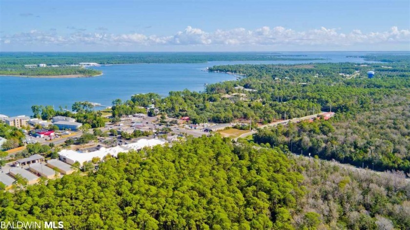 ATTN: DEVELOPERS & INVESTORS. ONE OF THE ONLY LARGE TRACTS OF - Beach Acreage for sale in Orange Beach, Alabama on Beachhouse.com