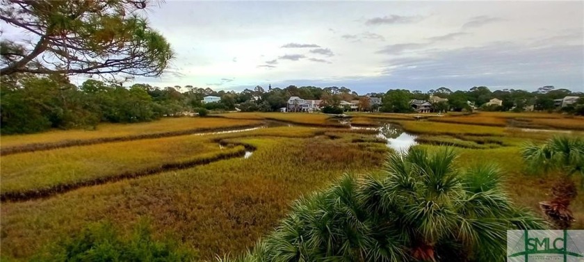 More Photos to Come Soon. Builder's own home offers NATURE - Beach Home for sale in Tybee Island, Georgia on Beachhouse.com