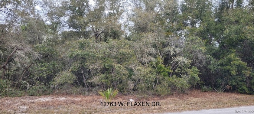 Picturesque Citrus County Lot - located just north of beautiful - Beach Lot for sale in Crystal River, Florida on Beachhouse.com