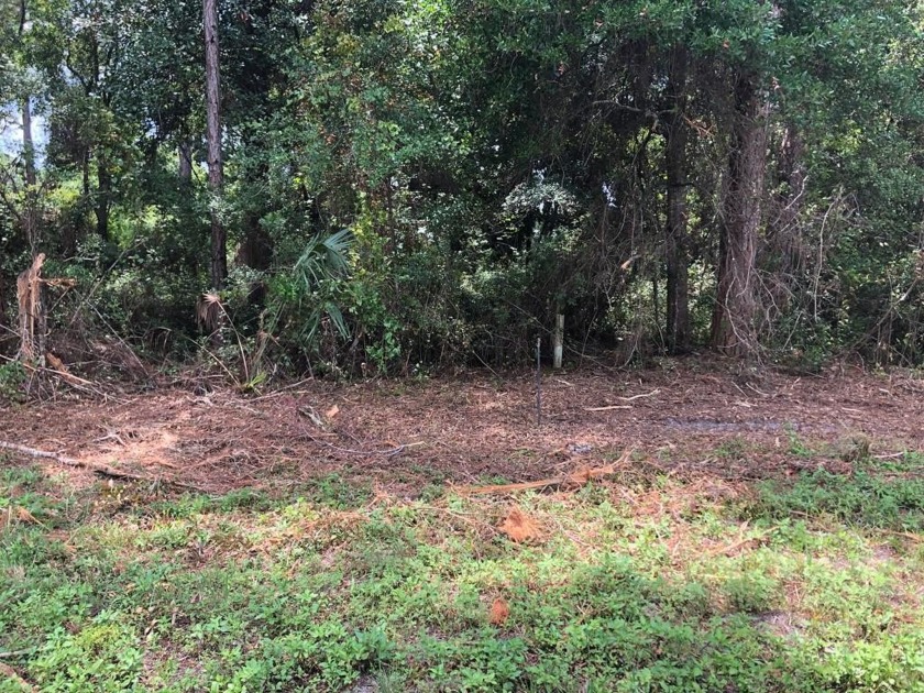 This 1/3 Acre lot is in an  X Flood Zone and has no time frame - Beach Lot for sale in Carabelle, Florida on Beachhouse.com