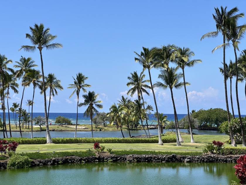 ATTRACTIVE LISTING PRICE!! Discover outstanding value in Mauna - Beach Condo for sale in Kamuela, Hawaii on Beachhouse.com