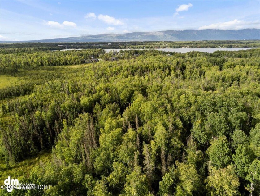 64 acres just minutes from Lucille Lake and Park in a newer - Beach Lot for sale in Wasilla, Alaska on Beachhouse.com