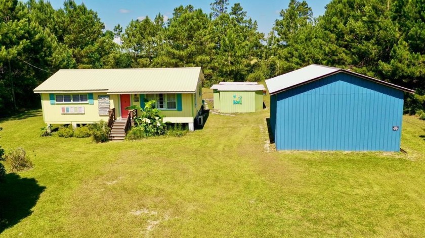 Embrace the peace and quiet of country living with this charming - Beach Home for sale in Wewahitchka, Florida on Beachhouse.com