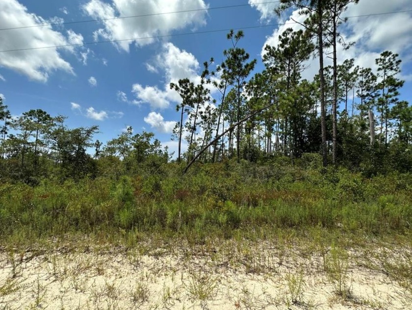 Great opportunity to own a cleared 1.5-acre lot with 100 feet of - Beach Lot for sale in Wewahitchka, Florida on Beachhouse.com