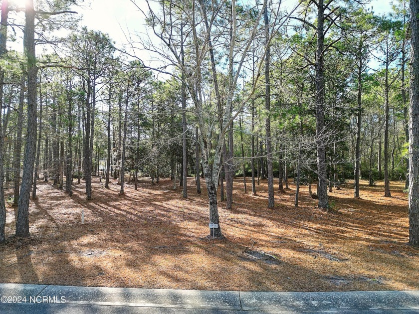 WATERFRONT COMMUNITY with private MARINA! Just 4 miles away from - Beach Lot for sale in Supply, North Carolina on Beachhouse.com