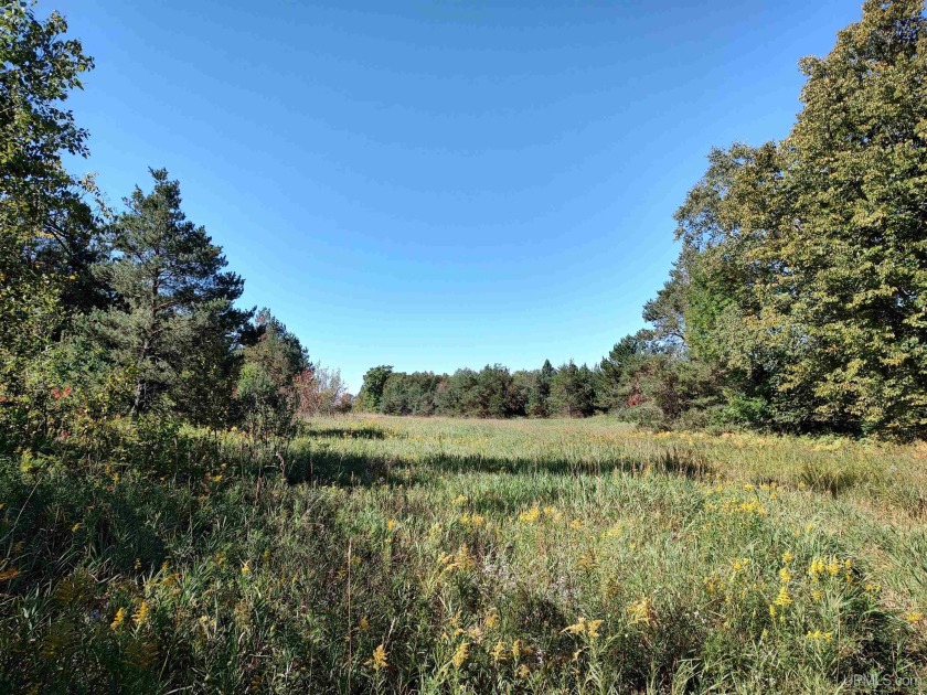 421 acres of vacant land approximately 2 miles outside of - Beach Acreage for sale in Gulliver, Michigan on Beachhouse.com
