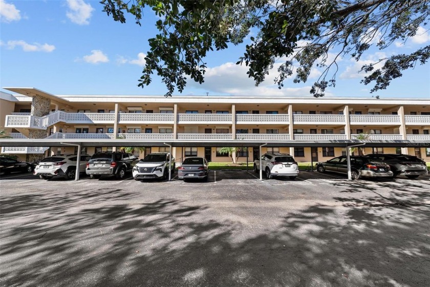 This beautifully remodeled fully furnished 2 bedroom 2 full bath - Beach Condo for sale in St. Petersburg, Florida on Beachhouse.com