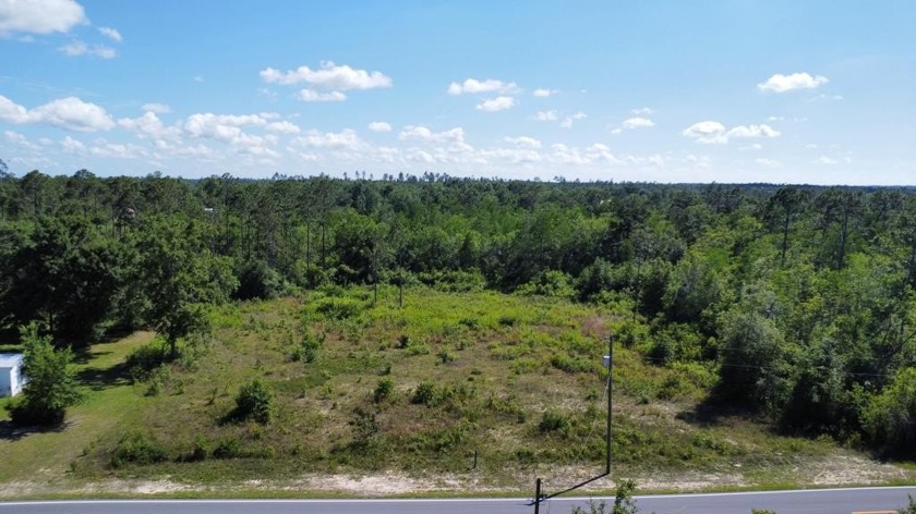 The perfect blend of peaceful rural living and modern - Beach Acreage for sale in Wewahitchka, Florida on Beachhouse.com