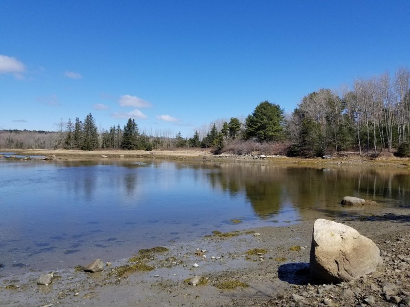 Lot #6 is nestled in a private, protected subdivision. Featuring - Beach Acreage for sale in Brooklin, Maine on Beachhouse.com