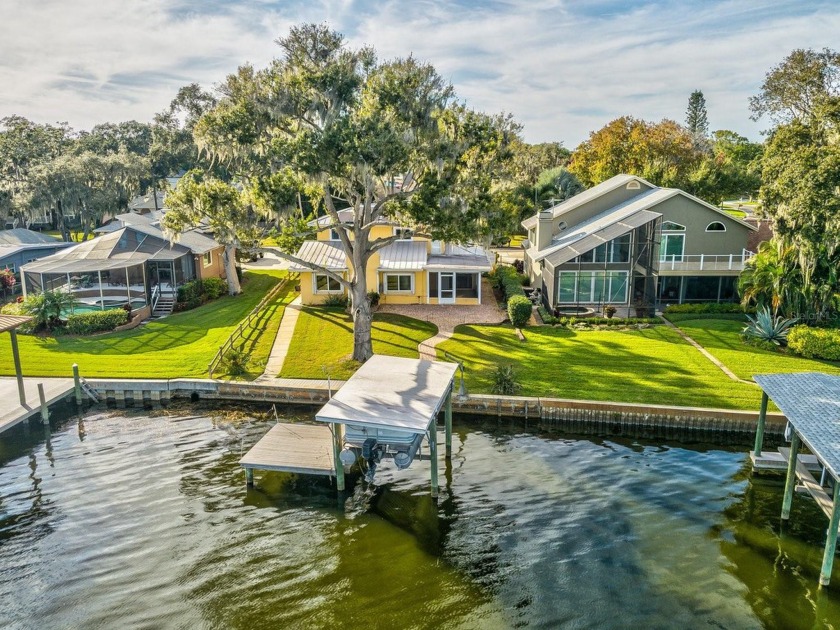 Directly on Lake Tarpon-The Largest Freshwater Spring Fed Lake - Beach Home for sale in Palm Harbor, Florida on Beachhouse.com