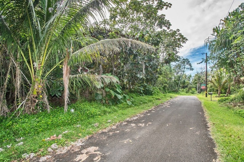 Own a piece of paradise! Opportunity to purchase a 9,100 square - Beach Lot for sale in Pahoa, Hawaii on Beachhouse.com