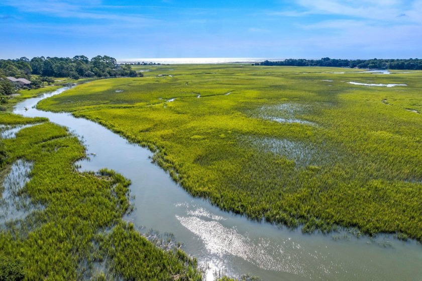 OCEAN AND MARSH VIEWS!!! One of the most captivating views on - Beach Home for sale in Seabrook Island, South Carolina on Beachhouse.com