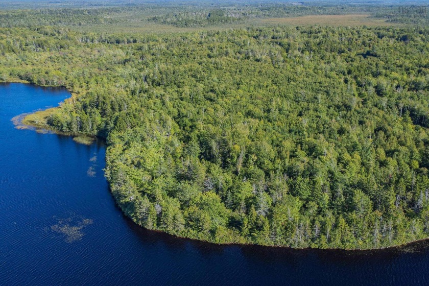 9.5-acre lakefront lot with southwest exposure, offering - Beach Acreage for sale in Mayflower,  on Beachhouse.com