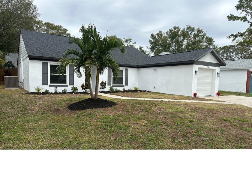 MOVE-IN READY! 
NO FLOODING OR FLOOD DAMAGE! 
NO HOA. NO HOA - Beach Home for sale in Oldsmar, Florida on Beachhouse.com