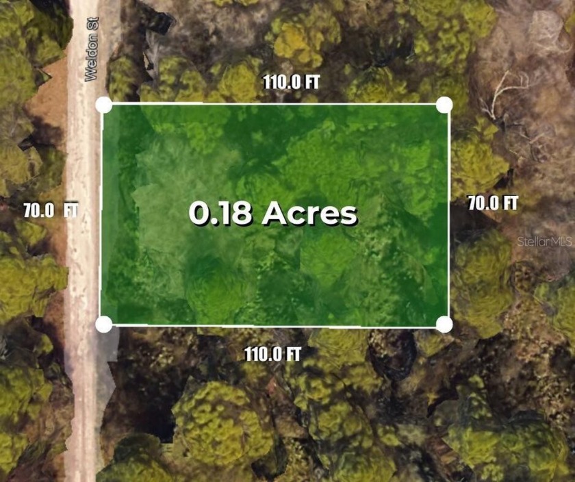 Set your sights on a versatile, build-friendly parcel in Moon - Beach Lot for sale in New Port Richey, Florida on Beachhouse.com