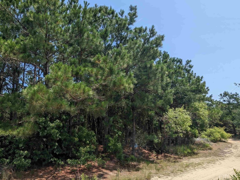 Nicely wooded lot with easy access to the beach. Who wouldn't - Beach Lot for sale in Corolla, North Carolina on Beachhouse.com