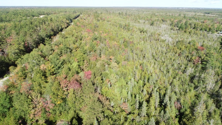 Wooded building site minutes from Manistique, Indian Lake, and - Beach Lot for sale in Manistique, Michigan on Beachhouse.com