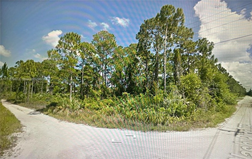 COME BUILD YOYR DREAM HOME ON THIS CORNER LOT WITH ALMOST 1 ACRE - Beach Lot for sale in Fort Pierce, Florida on Beachhouse.com