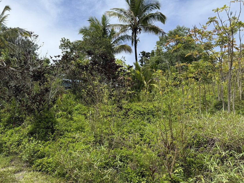 Welcome to your future slice of paradise on Hawaii's enchanting - Beach Lot for sale in Keaau, Hawaii on Beachhouse.com