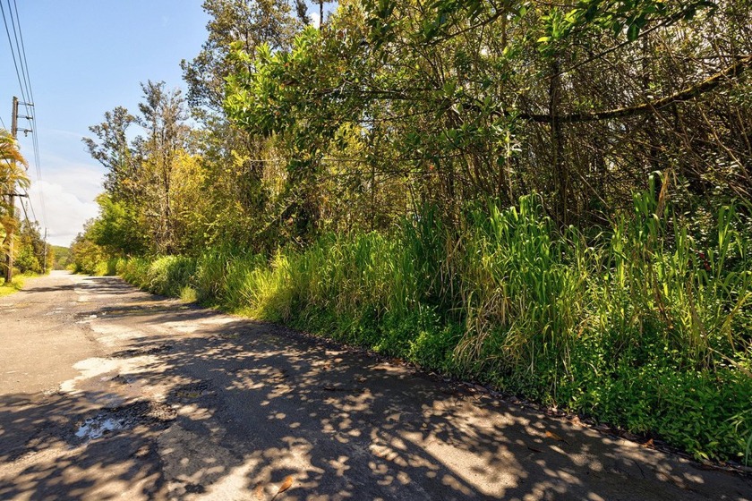 Price Reduction! Build Your Home on 3 Acres - Hawaiian Acres - Beach Acreage for sale in Mountain View, Hawaii on Beachhouse.com