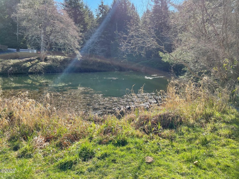 Almost 1 acre of property (2 parcels) with views of the Alsea - Beach Lot for sale in Waldport, Oregon on Beachhouse.com