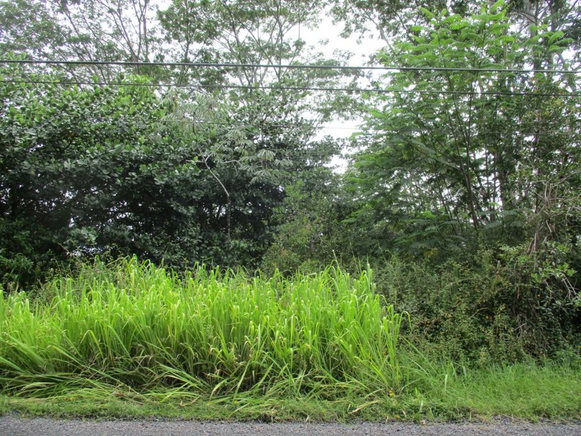 Own your own little slice of paradise - Beach Lot for sale in Keaau, Hawaii on Beachhouse.com