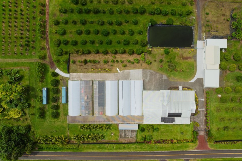 Turnkey Income-Producing Orchard Estate with Two Homes - Beach Commercial for sale in Kurtistown, Hawaii on Beachhouse.com