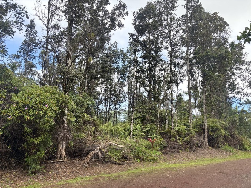Discover the perfect opportunity to own vacant land in the heart - Beach Lot for sale in Pahoa, Hawaii on Beachhouse.com