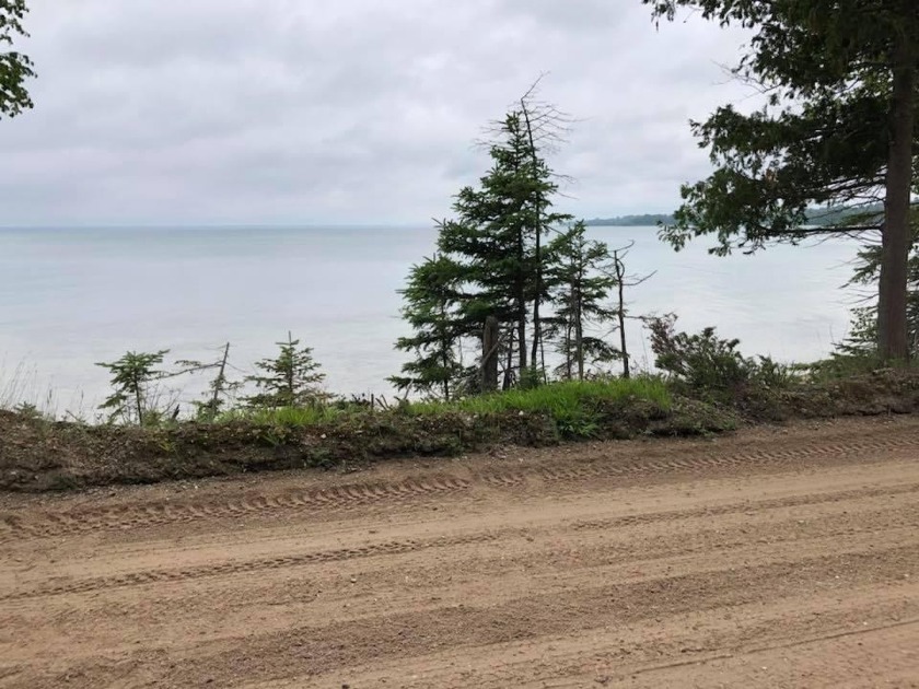 Parcel 5, GL 2 & 3, Sec 28, Located about 1-mile East of Twp - Beach Lot for sale in Bois Blanc Island, Michigan on Beachhouse.com