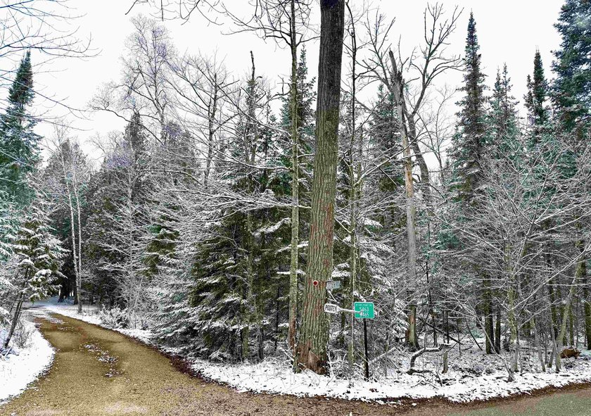 This beautiful 0.88-acre wooded lot offers the perfect blend of - Beach Lot for sale in Sturgeon Bay, Wisconsin on Beachhouse.com