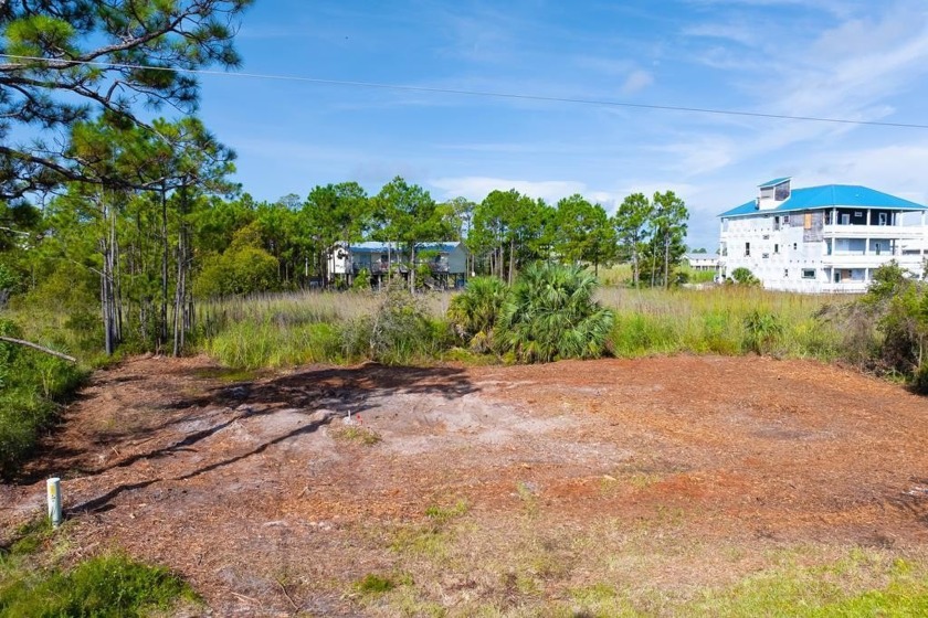 Nestled on Florida's scenic Forgotten Coast, this CLEARED BAY - Beach Lot for sale in St. George Island, Florida on Beachhouse.com