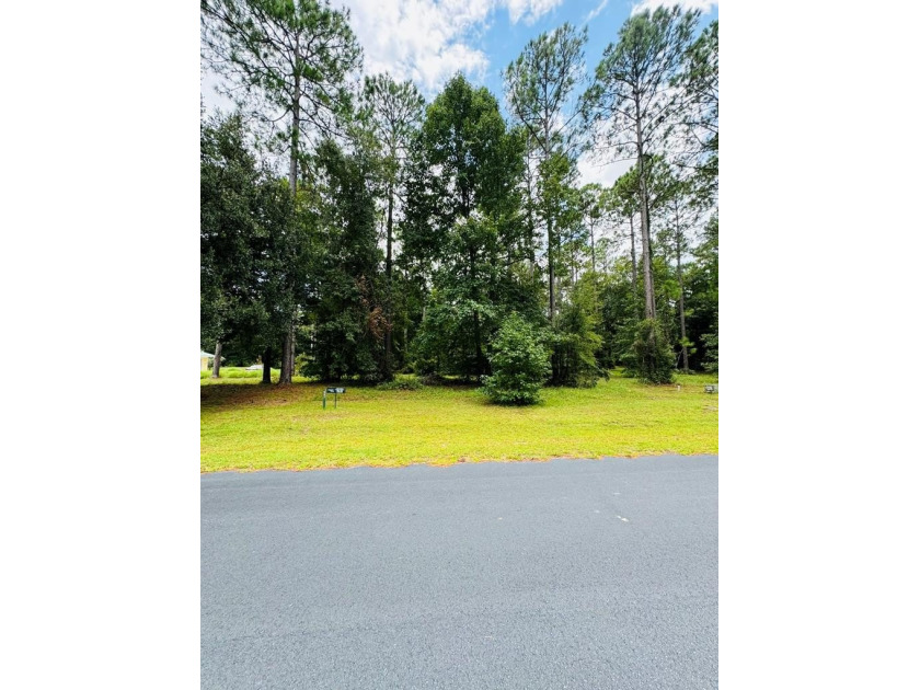 This 0.73 acre lot is surrounded by natural beauty of Coastal Ga - Beach Lot for sale in Townsend, Georgia on Beachhouse.com