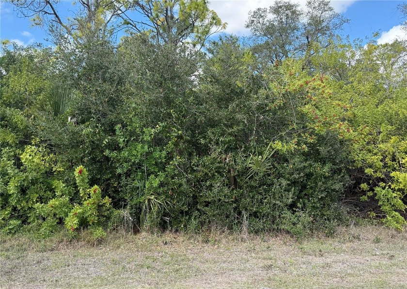 Prime Gulf-Access Canal Lot on the Myakka River - Your Gateway - Beach Lot for sale in Port Charlotte, Florida on Beachhouse.com