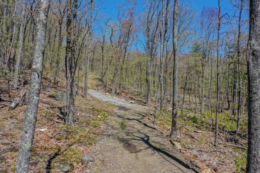 Imagine waking up to sweeping views of Mount Battie to Penobscot - Beach Acreage for sale in Camden, Maine on Beachhouse.com