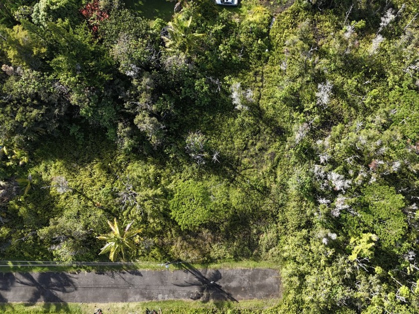 Kalapana Seaview Estates is one of the first places to see the - Beach Lot for sale in Pahoa, Hawaii on Beachhouse.com