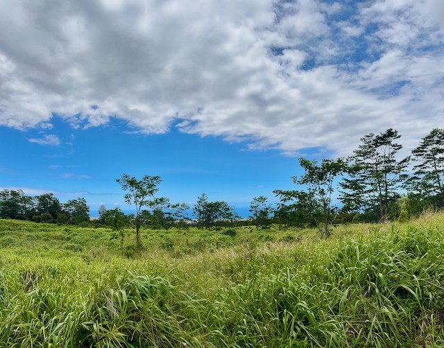 Build your dream farming estate! Rare lush acreage with open - Beach Acreage for sale in Pahala, Hawaii on Beachhouse.com
