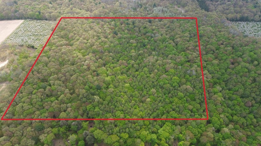 Prime 40-acre wooded parcel in Benona Township, Oceana - Beach Acreage for sale in Shelby, Michigan on Beachhouse.com