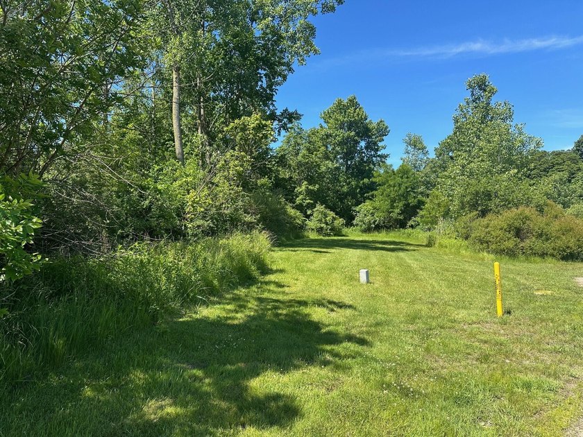 Can't find exactly what you are looking for, BUILD IT! This lot - Beach Lot for sale in New Buffalo, Michigan on Beachhouse.com