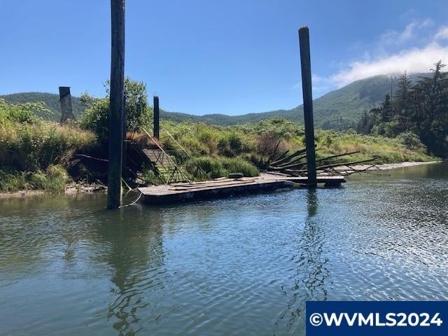 Gone Fishing? This is your opportunity to own your very own .11 - Beach Lot for sale in Lincoln City, Oregon on Beachhouse.com