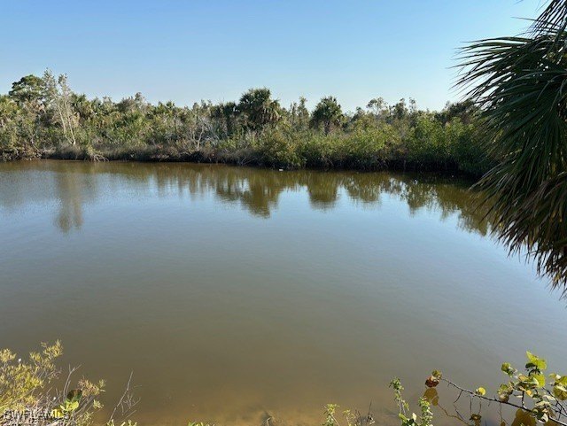 REDUCED! OVER-SIZED BUILDING SITE WITH DIRECT GULF ACCESS AND - Beach Lot for sale in Cape Coral, Florida on Beachhouse.com