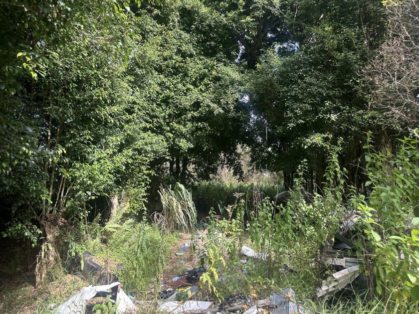 A great entry price for 2 side-by-side parcels of land in - Beach Lot for sale in Mountain View, Hawaii on Beachhouse.com