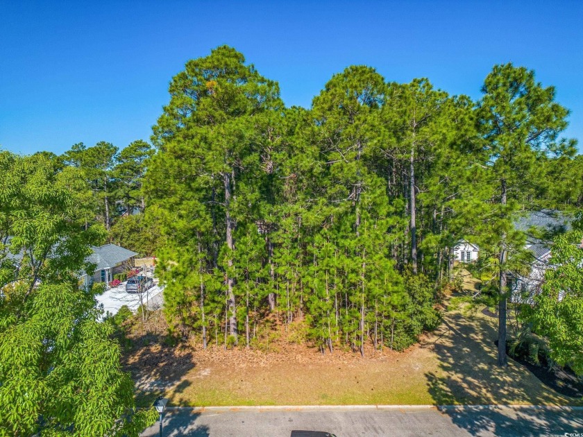 Gorgeous .53 acre lot in the Parkland, a Golf Community in - Beach Lot for sale in Myrtle Beach, South Carolina on Beachhouse.com