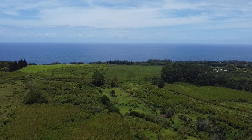 RARE OPPORTUNITY on Farm/Ranch Land For Sale in this area with - Beach Acreage for sale in Hakalau, Hawaii on Beachhouse.com