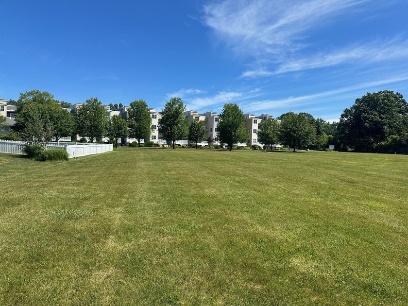 Get exactly what you want, build it! This lot is situated on a - Beach Lot for sale in New Buffalo, Michigan on Beachhouse.com