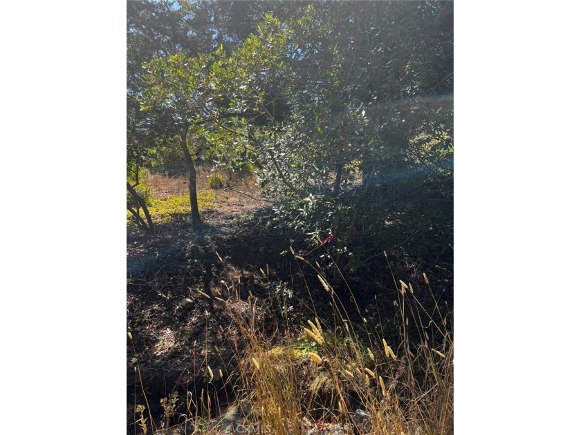 Opportunity Awaits in Cambria!
Nestled along California's - Beach Lot for sale in Cambria, California on Beachhouse.com