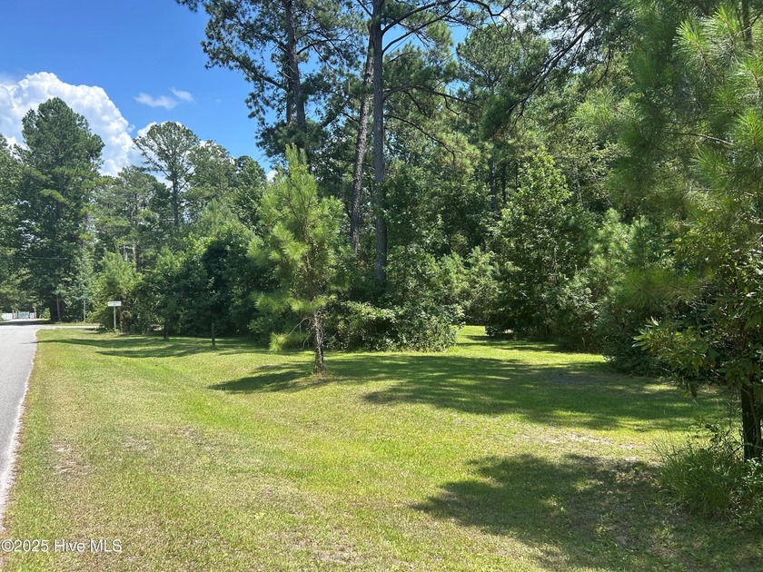 Welcome to Forest Grove, a unique clothing-optional subdivision - Beach Lot for sale in Ocean Isle Beach, North Carolina on Beachhouse.com