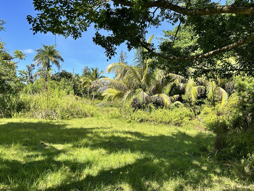 Opportunity knocks in the fast-growing Ainaloa subdivision! This - Beach Lot for sale in Pahoa, Hawaii on Beachhouse.com