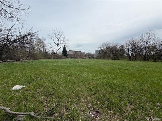 The DLBA is seeking proposals that for small- to medium-scale - Beach Lot for sale in Detroit, Michigan on Beachhouse.com