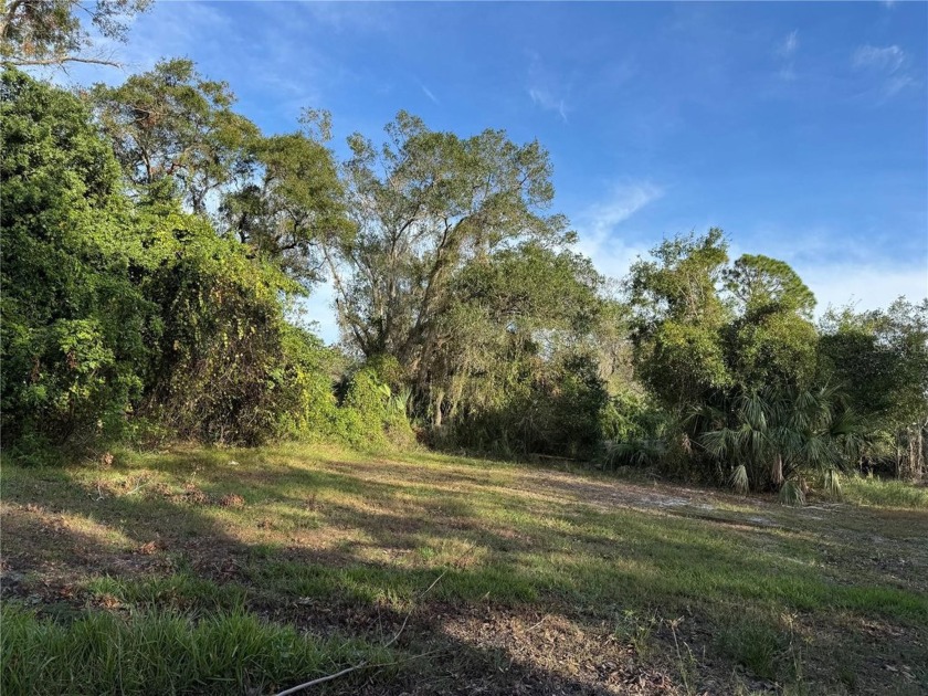 Over 1 acre lot with creek access to Upper Tampa Bay.  The home - Beach Lot for sale in Tampa, Florida on Beachhouse.com