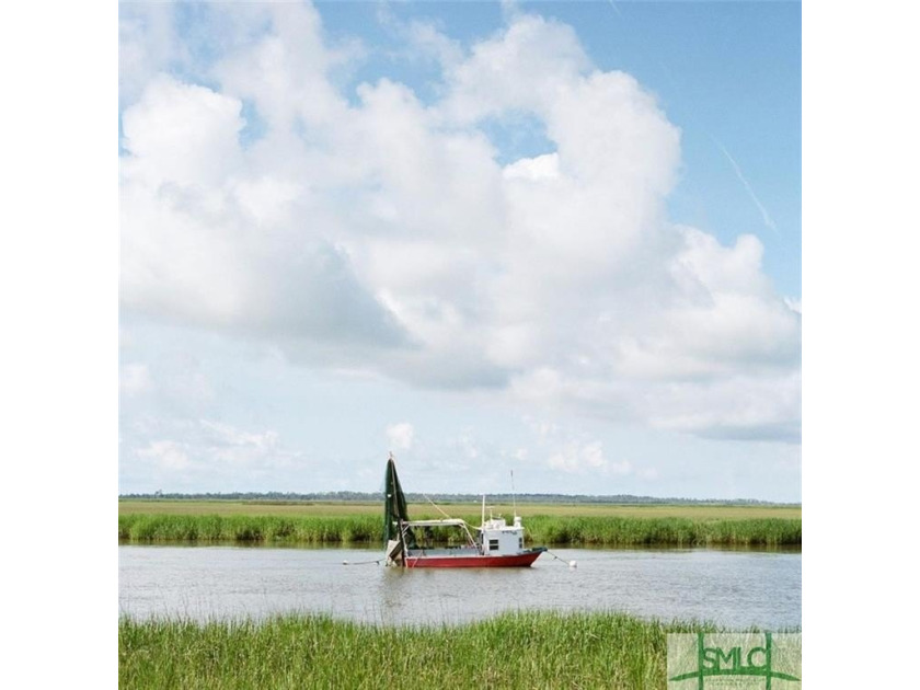 Zoned for Short Term Rental!!!!   Coastal cottage for sale and - Beach Home for sale in Tybee Island, Georgia on Beachhouse.com